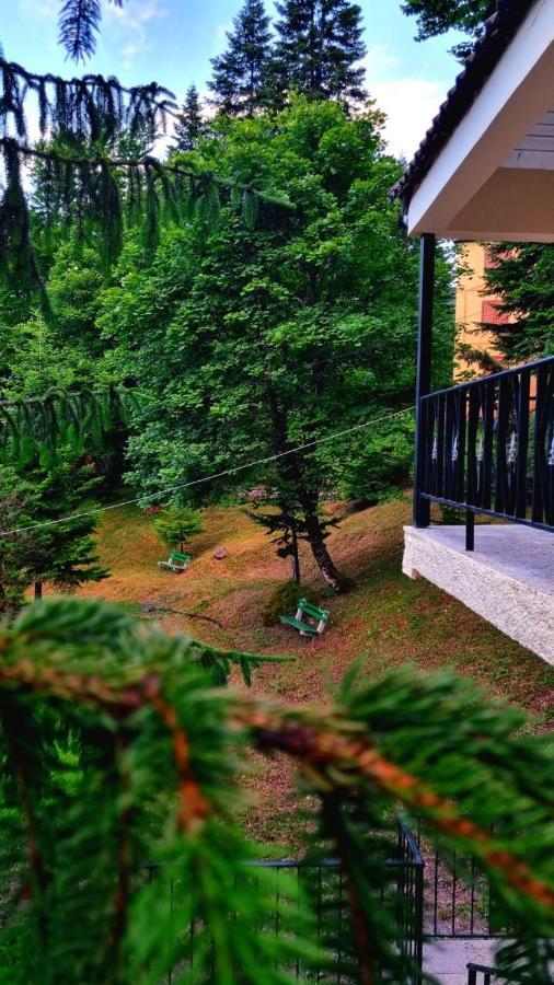Bujtina Te Grima Hotel Theth Exterior photo
